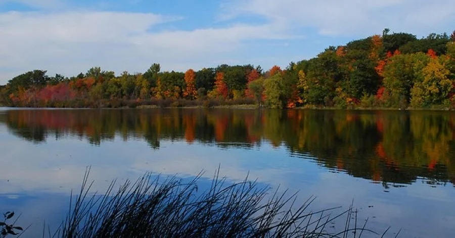 heart_lake_conservation_area